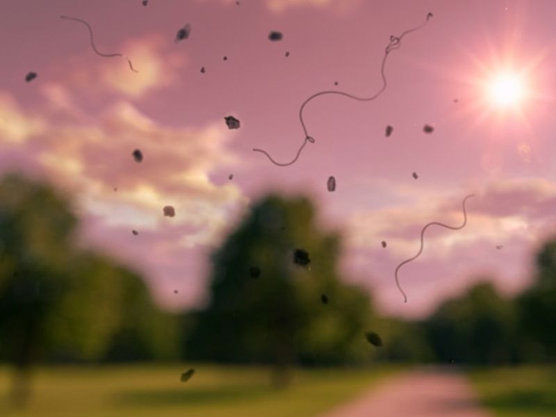 4. Flashes, Floaters or Sudden Vision Changes*