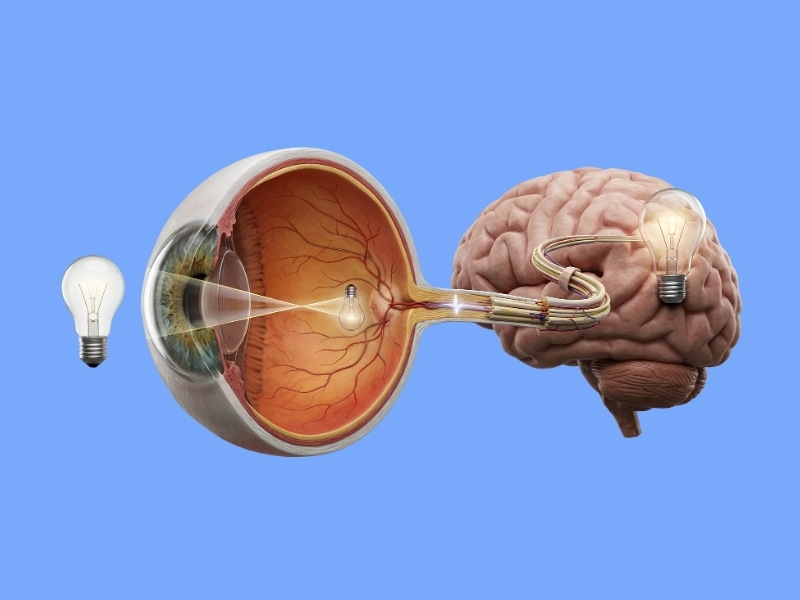 Optic Nerve Compression